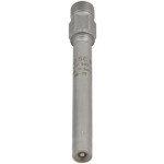 BOSCH Einspritzventil