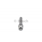 BOSCH Einspritzventil