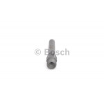 BOSCH Einspritzventil