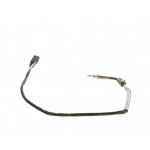 BOSCH Sensor, Abgastemperatur