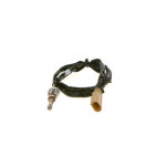 BOSCH Sensor, Abgastemperatur