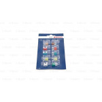 BOSCH Sicherung