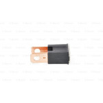 BOSCH Sicherung