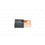 BOSCH Sicherung