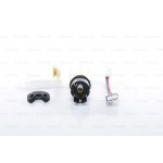 BOSCH Kraftstoffpumpe