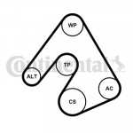 CONTINENTAL CTAM Keilrippenriemensatz