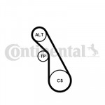 CONTINENTAL CTAM Keilrippenriemensatz