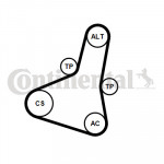 CONTINENTAL CTAM Keilrippenriemensatz