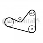 CONTINENTAL CTAM Keilrippenriemensatz