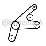 CONTINENTAL CTAM Keilrippenriemensatz