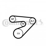 CONTINENTAL CTAM Keilrippenriemensatz