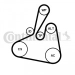 CONTINENTAL CTAM Keilrippenriemensatz
