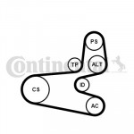 CONTINENTAL CTAM Keilrippenriemensatz