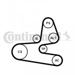 CONTINENTAL CTAM Keilrippenriemensatz