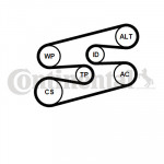 CONTINENTAL CTAM Keilrippenriemensatz