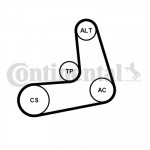 CONTINENTAL CTAM Keilrippenriemensatz