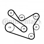 CONTINENTAL CTAM Keilrippenriemensatz