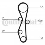 CONTINENTAL CTAM Zahnriemen