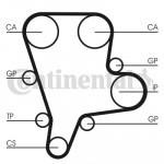 CONTINENTAL CTAM Zahnriemen