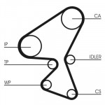 CONTINENTAL CTAM Zahnriemen