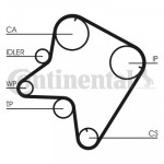 CONTINENTAL CTAM Zahnriemen