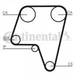 CONTINENTAL CTAM Zahnriemen