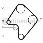 CONTINENTAL CTAM Zahnriemen