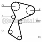 CONTINENTAL CTAM Zahnriemen