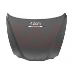 VAN WEZEL Motorhaube