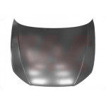 VAN WEZEL Motorhaube