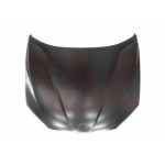VAN WEZEL Motorhaube