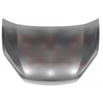 VAN WEZEL Motorhaube