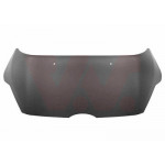 VAN WEZEL Motorhaube