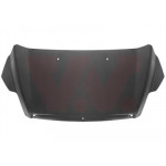 VAN WEZEL Motorhaube