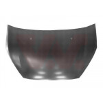 VAN WEZEL Motorhaube
