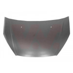 VAN WEZEL Motorhaube