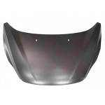 VAN WEZEL Motorhaube