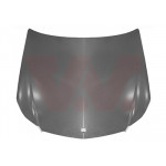 VAN WEZEL Motorhaube