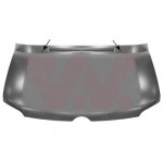 VAN WEZEL Motorhaube