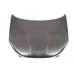 VAN WEZEL Motorhaube