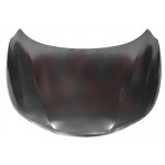 VAN WEZEL Motorhaube