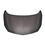 VAN WEZEL Motorhaube