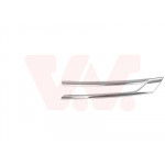 VAN WEZEL Zier-/Schutzleiste, Kühlergitter