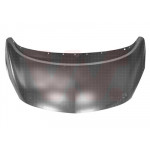 VAN WEZEL Motorhaube