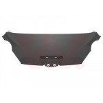 VAN WEZEL Motorhaube
