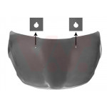VAN WEZEL Motorhaube