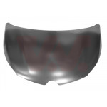 VAN WEZEL Motorhaube