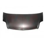 VAN WEZEL Motorhaube