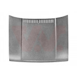 VAN WEZEL Motorhaube