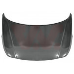VAN WEZEL Motorhaube